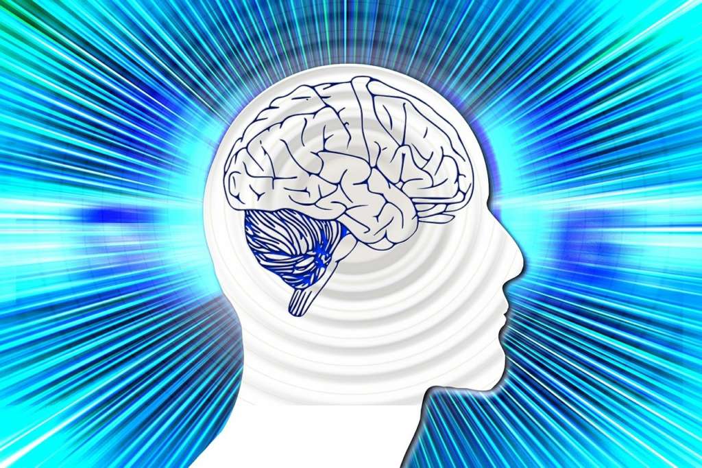 Psychology Courses Psychology Courses