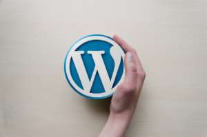 Make your own website? WordPress Training joins Nightcourses.com