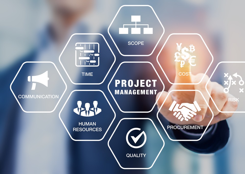 Training in Focus: Project Management