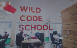 My First 6 Months at Wild Code School