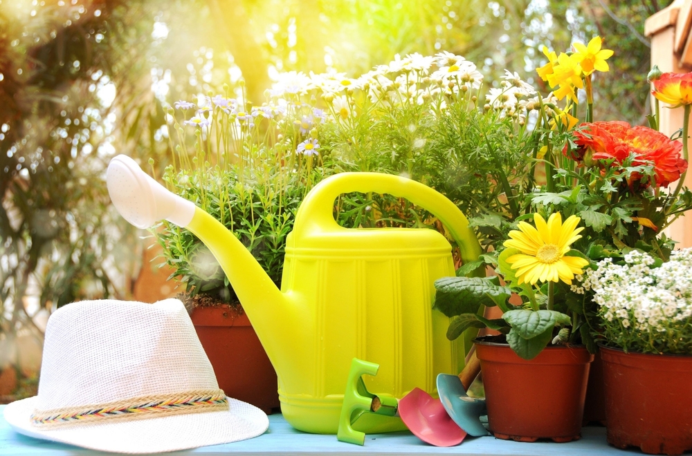 Get Your Garden in Shape This Spring!