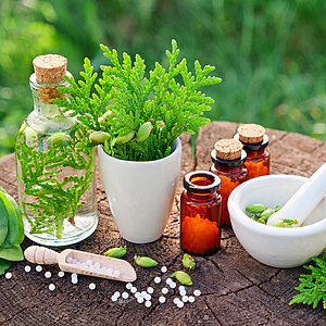 Homeopathy For Beginners Workshop