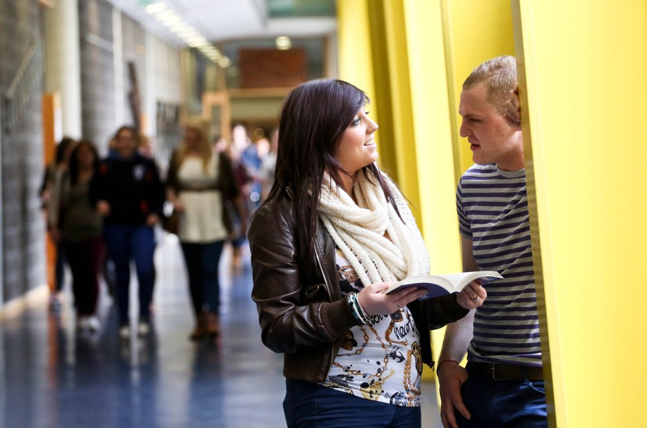 Mary Immaculate College