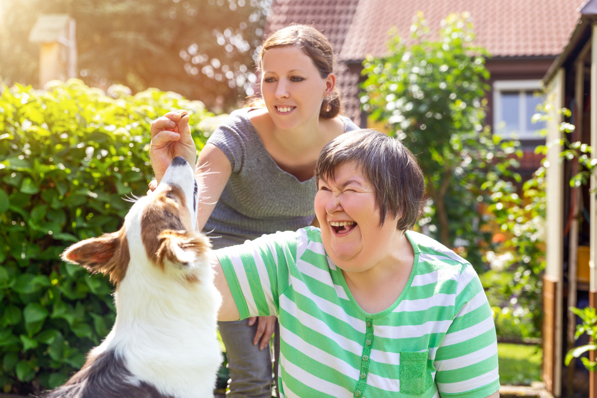 Open Training College: BA in Social Care degree - Opens for applications on 31st March