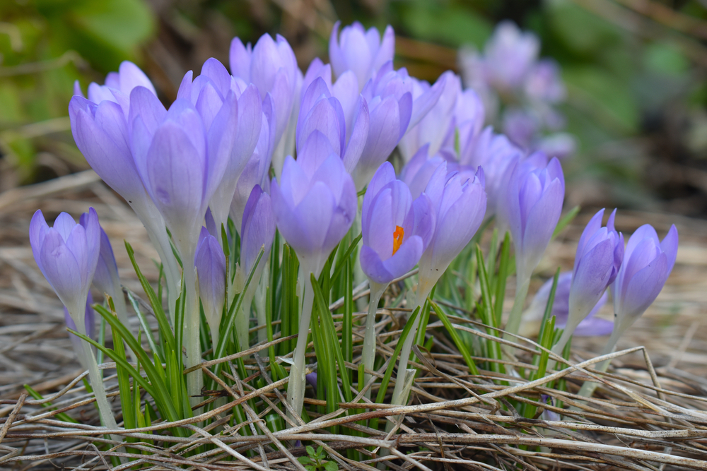 Winners of Teagascs Vision of Research and Innovation Photography Competition