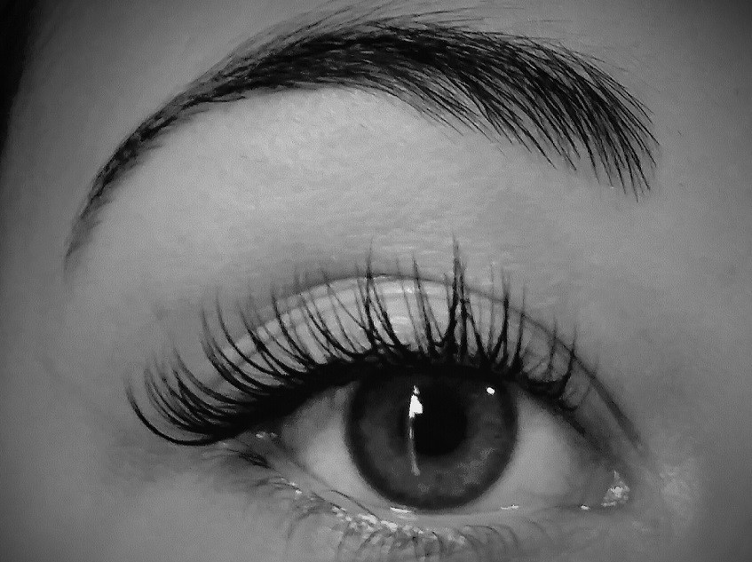 The Last Boutique courses