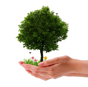 Life Coaching Online with Coach4Life Ireland & Lanzarote