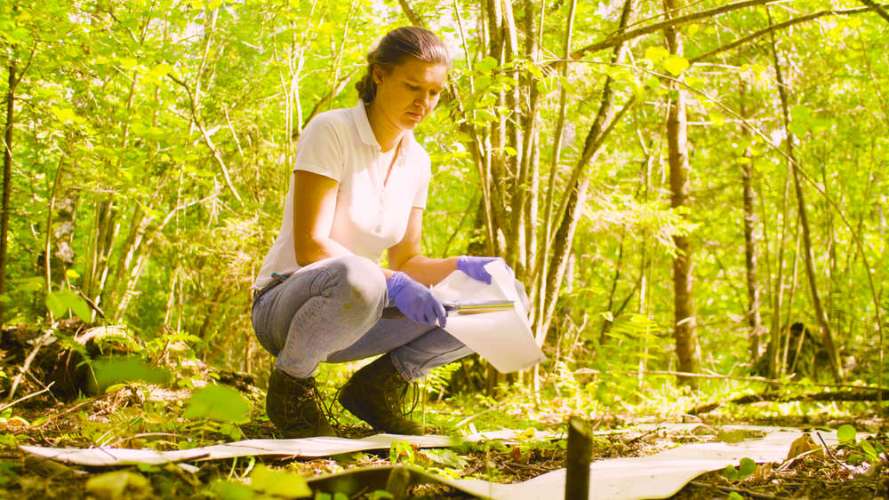 Environmental Scientists